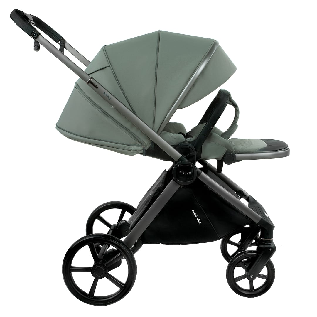 Коляска 2 в1 Teffy короб+прогулка Sage Green/Graphite