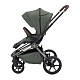 Labala RAIZ EDITION LINE 2025 Green