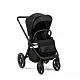 Коляска 2в1 Peppy Monaco Plus Black (рама черная)
