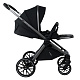 Коляска 2 в 1 Pituso Mayla Plus, Black/Graphite