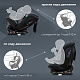 Автокресло группа (0-36) Crosstour 360 SPS Isofix Grey/Black