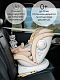 Автокресло детское CHAMPION, Isofix класс D, группа 0+/1/2/3 графит