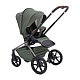 Labala RAIZ EDITION LINE 2025 Green