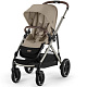 Прогулочная коляска для двойни Cybex Gazelle S BLK 2024