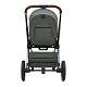 Labala RAIZ EDITION LINE 2025 Green