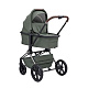 Labala RAIZ EDITION LINE 2025 Green